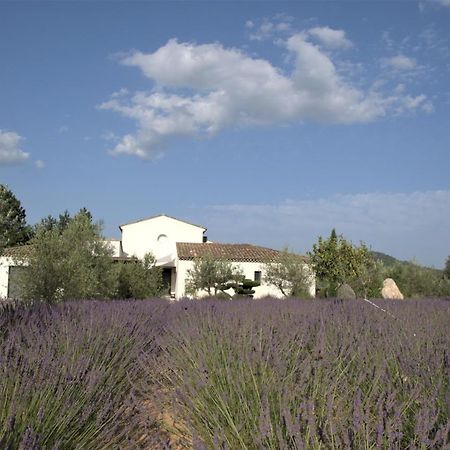 Villa Otilia-Bed&Breakfast-Chambres d'hôtes en Provence Rians  Extérieur photo