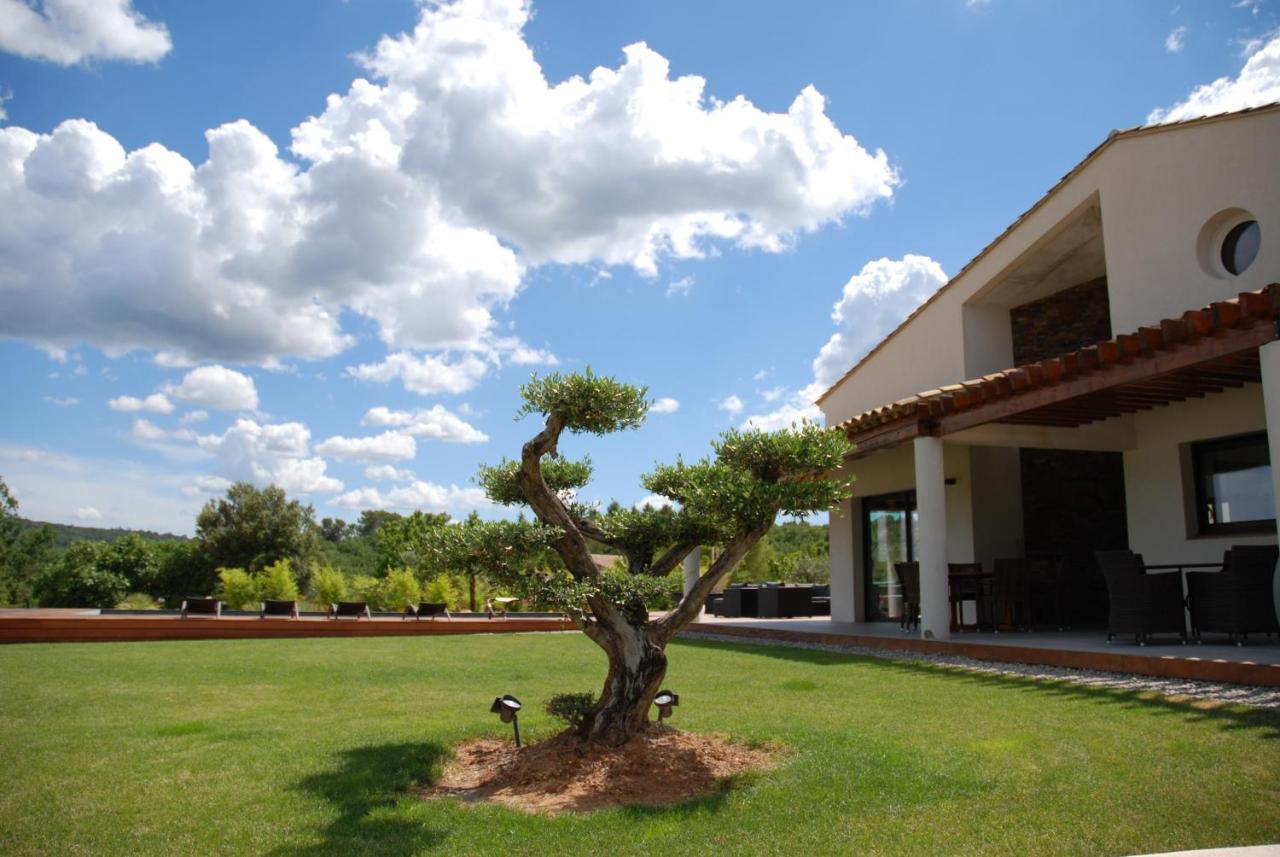 Villa Otilia-Bed&Breakfast-Chambres d'hôtes en Provence Rians  Extérieur photo