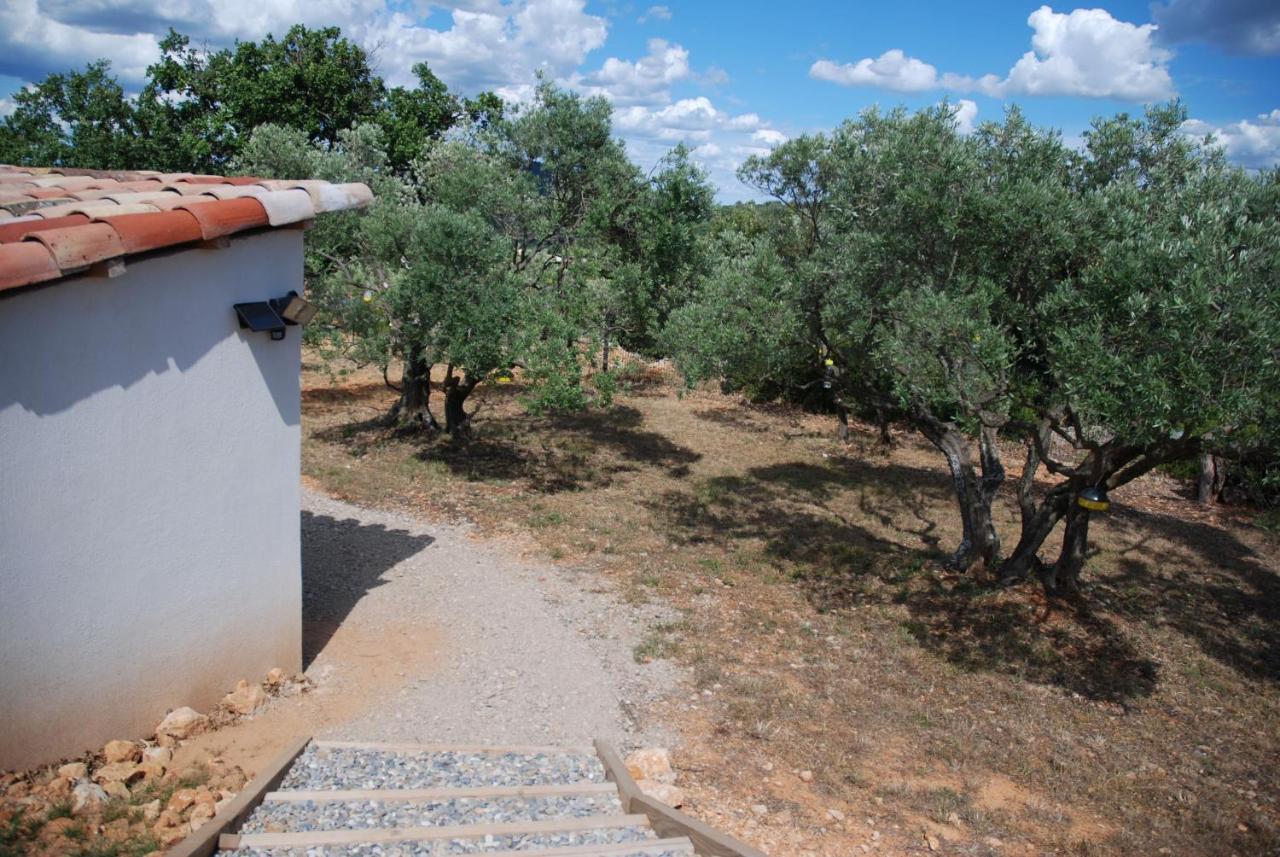 Villa Otilia-Bed&Breakfast-Chambres d'hôtes en Provence Rians  Extérieur photo